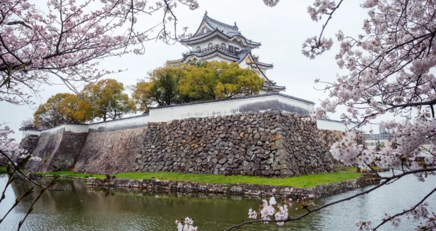 Khám phá Osaka qua những khung hình đặc biệt.