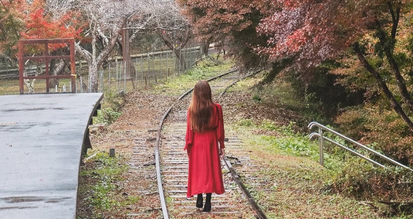 Cẩm nang du lịch Aichi và vẻ đẹp của vùng đất bí ẩn