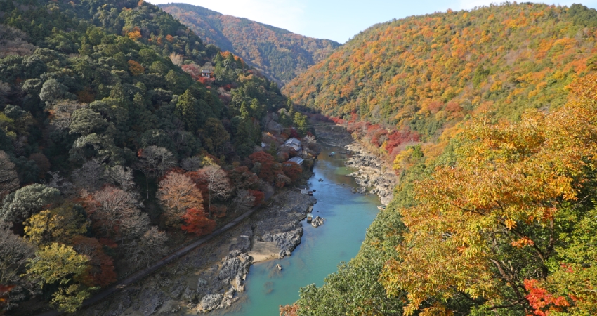 Dòng sông Kino-gawa trong vắt qua lăng kính cẩm nang du lịch Wakayama