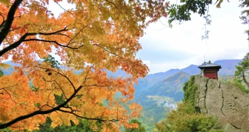 Cùng cẩm nang du lịch Yamagata khám phá mùa thu đặc trưng của vùng đất này