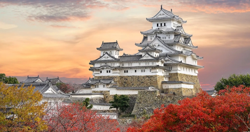 Lâu đài Himeji qua lăng kính cẩm nang du lịch Hyogo