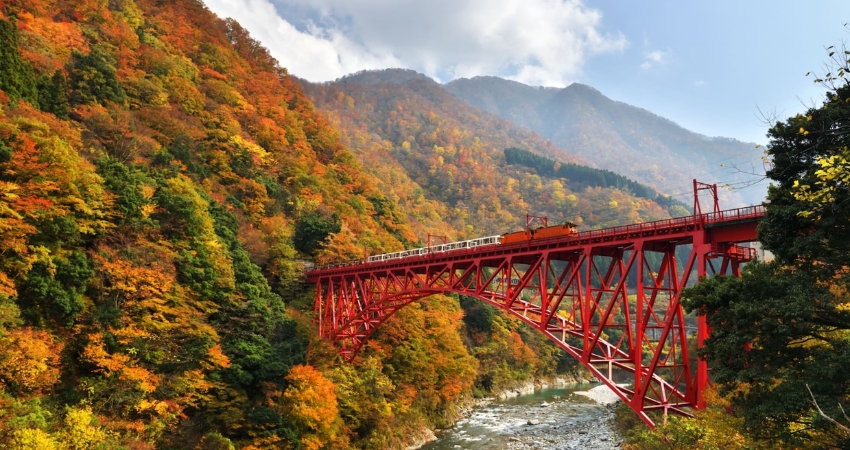 Đường sắt chạy qua hẻm núi Kurobe Gorge