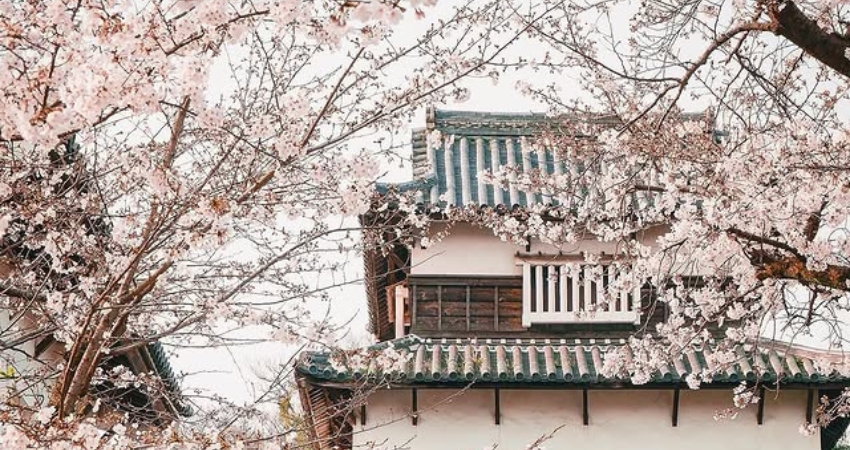 Theo cẩm nang du lịch Fukuoka, muốn ngắm phong cách cổ kính đừng quên ghé đến lâu đài Fukuoka