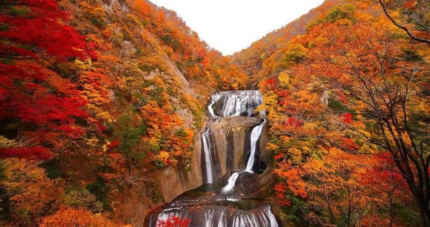 Thác Fukuroda với dòng nước từ trên cao đổ xuống