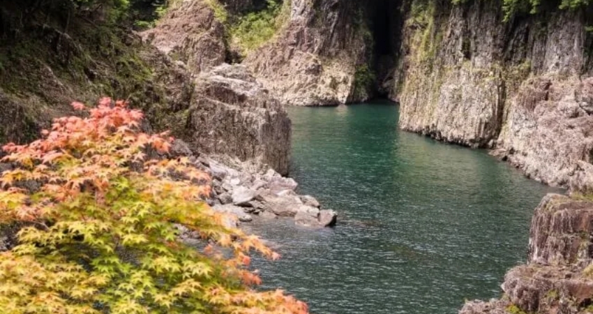 Cùng cẩm nang du lịch Wakayama vi vu dọc theo sườn thung lũng Dorokyo