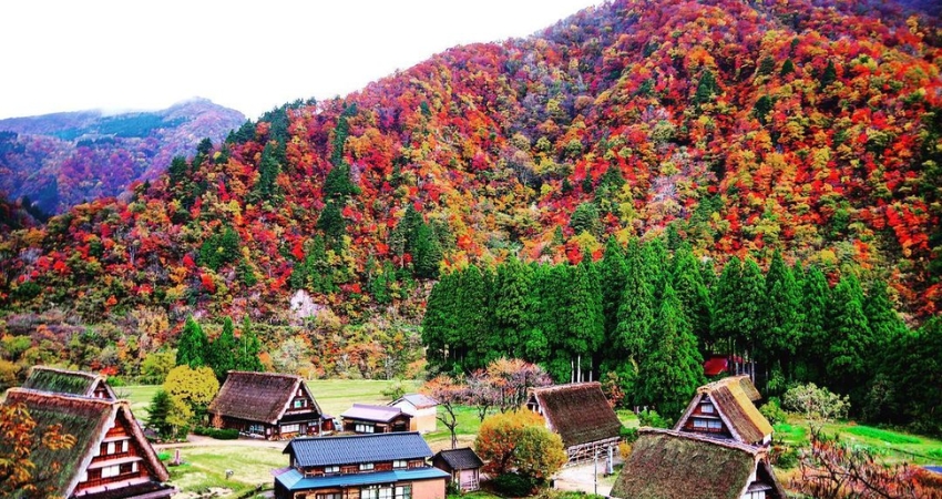 Đừng quên ghé thăm ngôi làng cổ Gokayama với khung cảnh thơ mộng tựa truyện cổ tích.