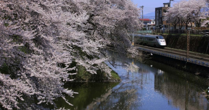 Ngắm nhìn lâu đài đậm dấu ấn phong kiến thời kỳ Nhật Bản tại Yamagata