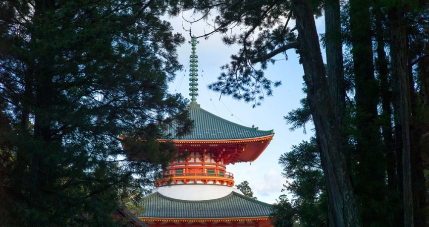 Hành hương trên núi Koyasan.