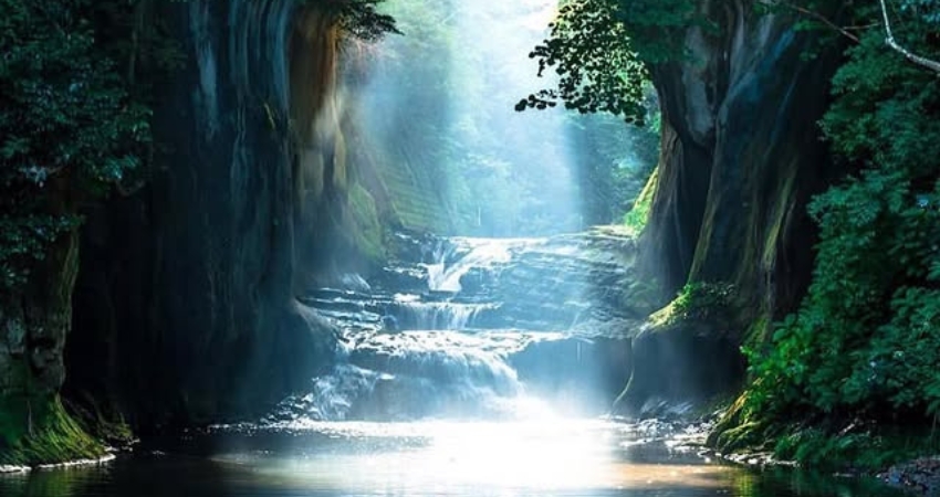 Vẻ đẹp tiềm ẩn mà cẩm nang du lịch Chiba muốn bạn biết đến