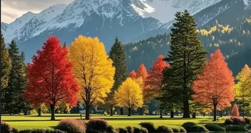 Ghé Hồ Bắc để cảm nhận thời tiết dễ chịu cùng cảnh sắc thiên nhiên hữu tình