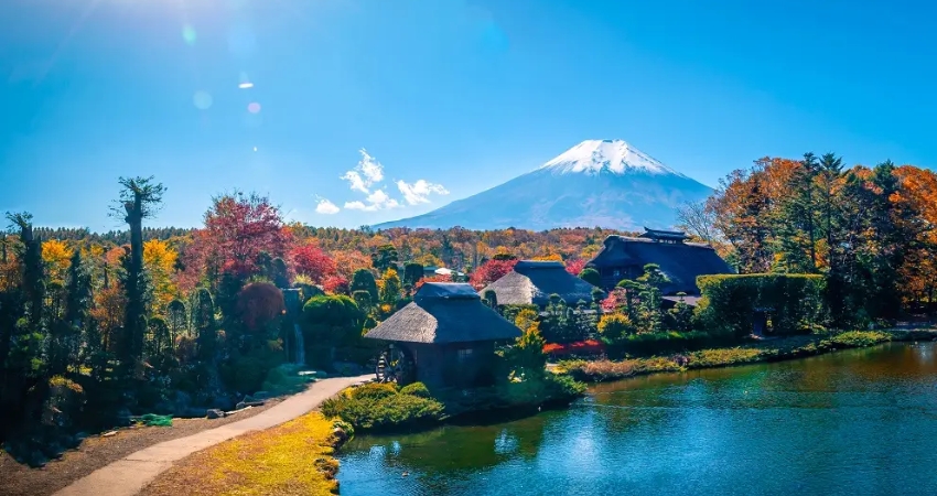 Cẩm nang du lịch Wakayama bật bí bí quyết khám phá trọn vẹn mùa thu Nhật Bản