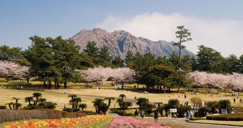 Tận hưởng trọn vẹn vẻ đẹp thiên nhiên của Kagoshima vào mùa xuân