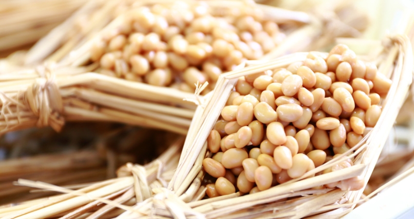 Đậu lành lên men Natto Mito là niềm tự hào của người dân nơi đây.