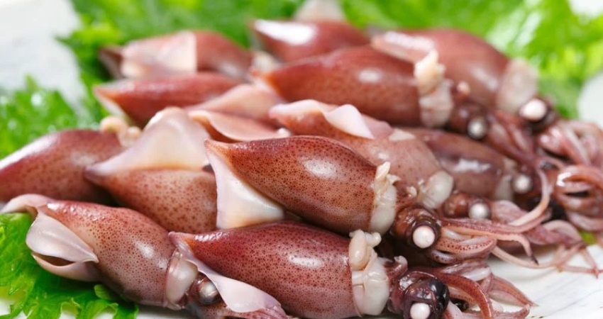 Ghé cẩm nang du lịch Toyama, bạn sẽ bị ấn tượng bởi món Hotaru Ika