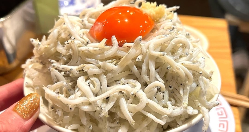 Cẩm nang du lịch Kanagawa nhắc bạn đừng quên thử món Shirasu