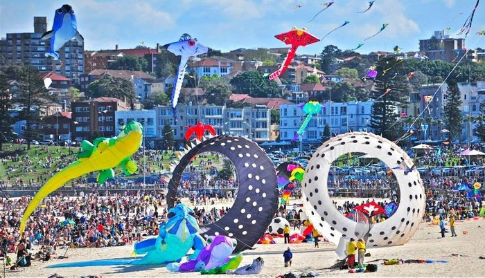 Tham gia các sự kiện sôi động ở bãi biển Bondi Úc