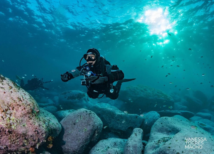 Tham gia các hoạt động thể thao ở bãi biển Bondi Úc