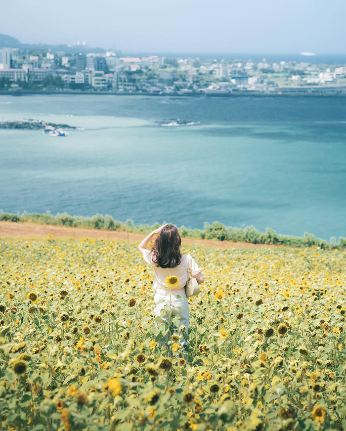 Khám phá đặc trưng của bãi biển Hamdeok Beach Hàn Quốc
