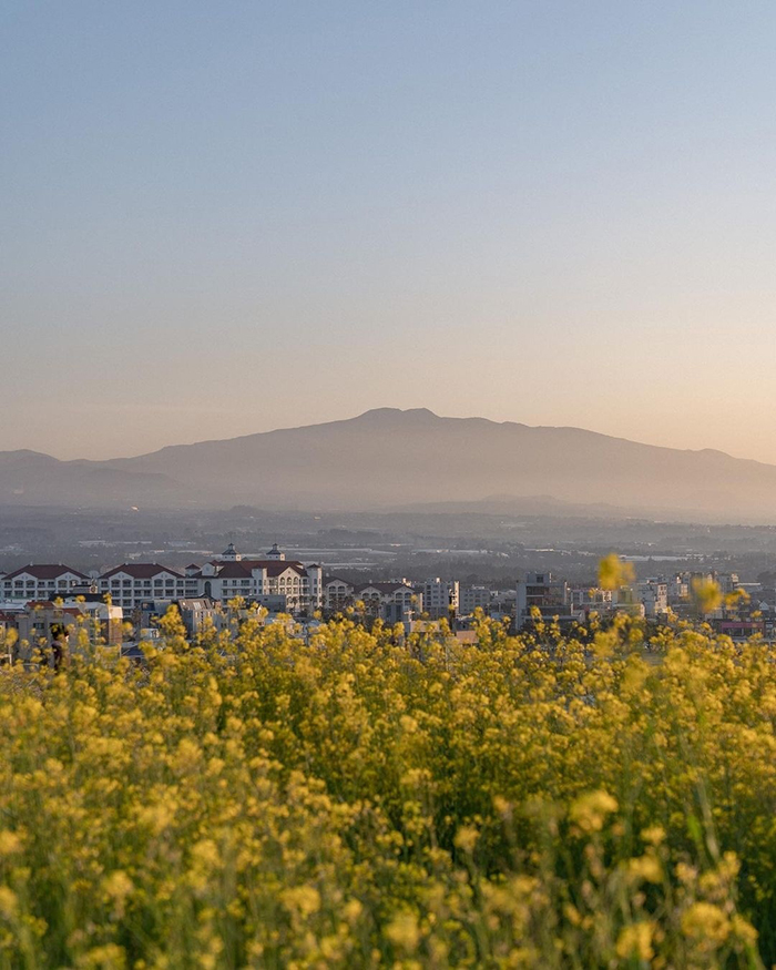 Cách di chuyển tới  bãi biển Hamdeok Beach