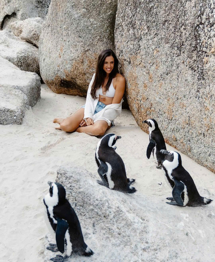 Mùa hè là thời điểm lý tưởng để du lịch Boulders Beach Nam Phi 