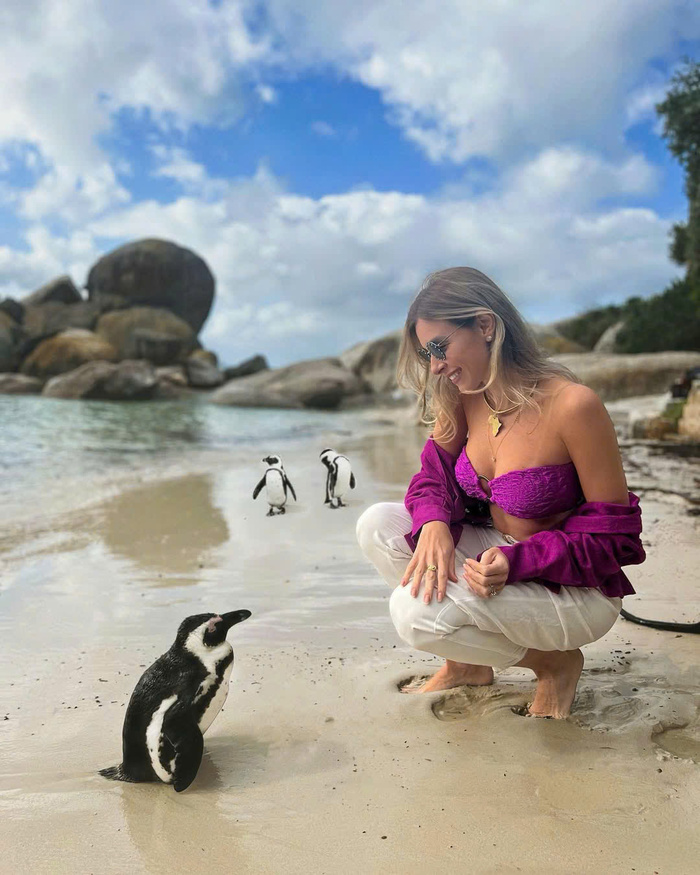 Boulders Beach Nam Phi là nơi duy nhất bạn có thể quan sát chim cánh cụt ở cự ly gần