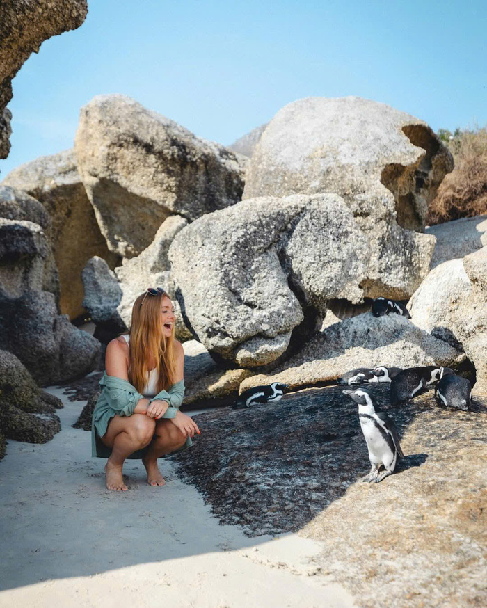 Boulders Beach Nam Phi là nơi duy nhất bạn có thể quan sát chim cánh cụt ở cự ly gần