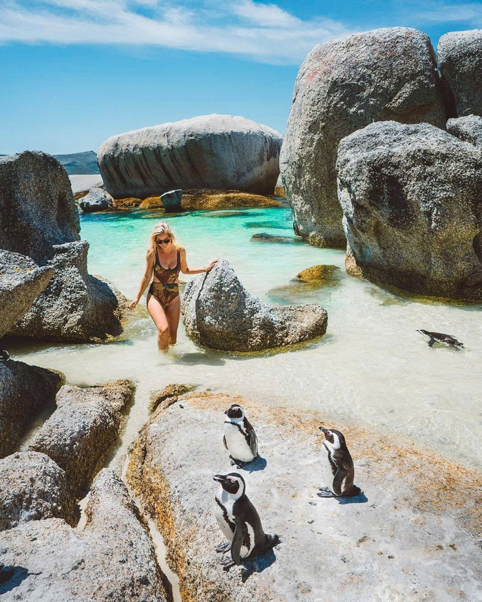 Boulders Beach Nam Phi là nơi duy nhất bạn có thể quan sát chim cánh cụt ở cự ly gần