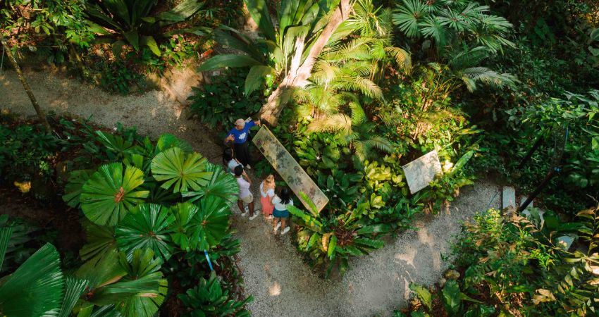 Vườn Gia Vị Nhiệt Đới - cẩm nang du lịch Batu Ferringhi Malaysia