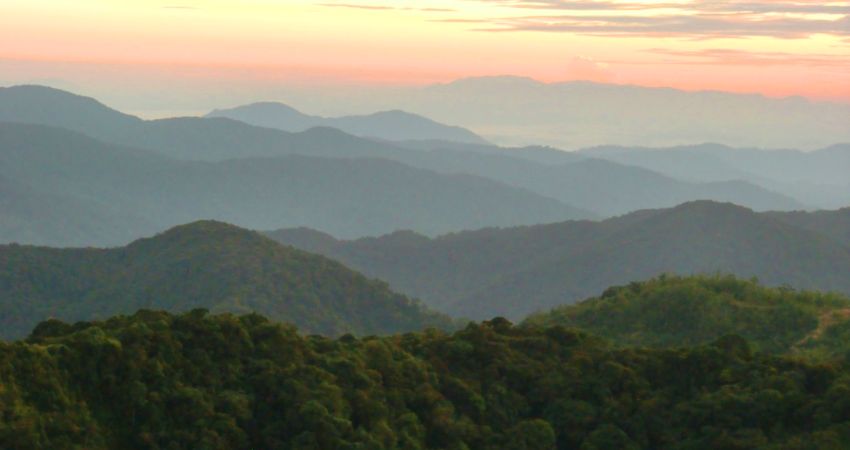 Đỉnh Gunung Brinchang - cẩm nang du lịch Brinchang