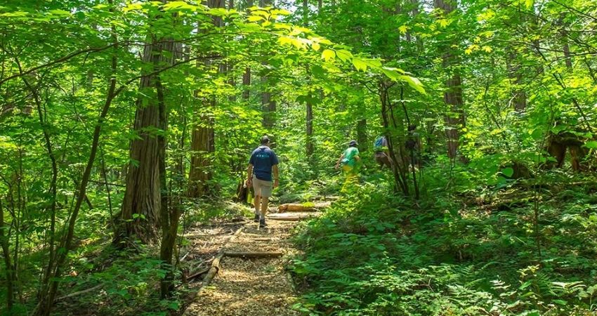 Rừng giải trí Bukit Mertajam - cẩm nang du lịch Bukit Mertajam Malaysia