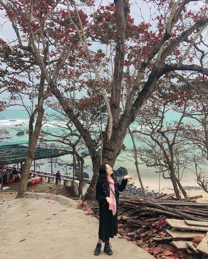 Bãi Bàng rất thích hợp cho những chuyến picnic thân mật