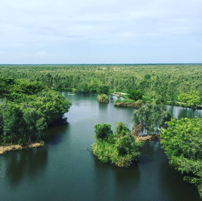U Minh Thượng có hệ sinh thái sông nước và rừng rậm trù phú