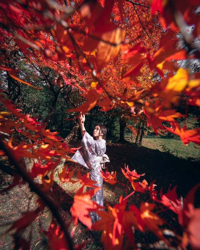 Cẩm nang du lịch Kumamoto - Kumamoto thu hút nhiều du khách ghé thăm vào mùa thu