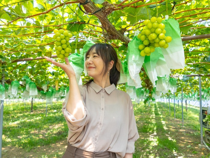 Cẩm nang du lịch Kurume - Ghé thăm vườn nho