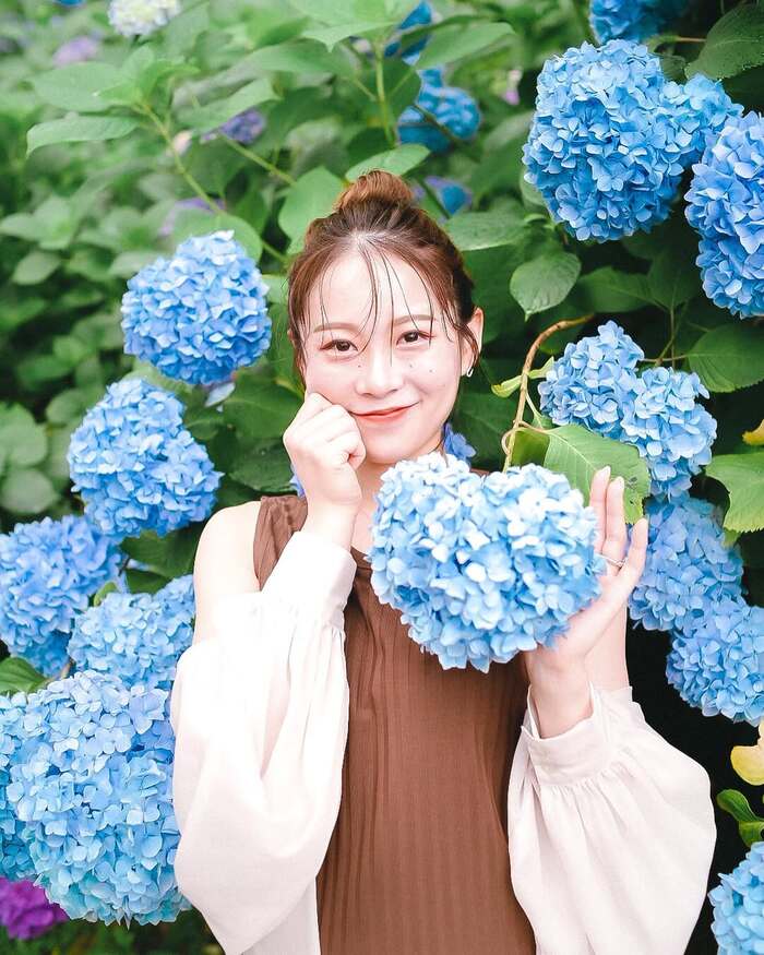 Cẩm nang du lịch Kurume - Ghé thăm các vườn hoa thơ mộng