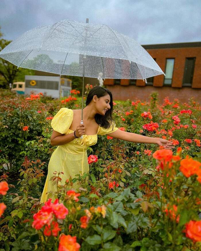 Cẩm nang du lịch Kurume - Ghé thăm các vườn hoa thơ mộng