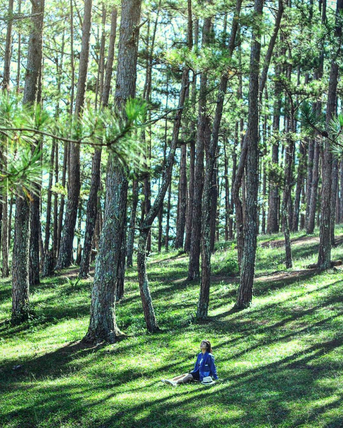 Cảnh sắc hút hồn tại thung lũng Vàng