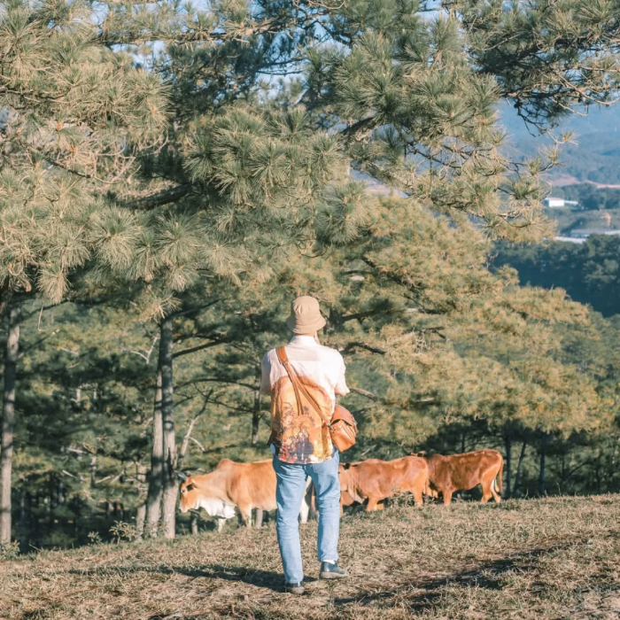 Tận hưởng sự bình yên tại thung lũng đẹp nhất nhì Lâm Đồng