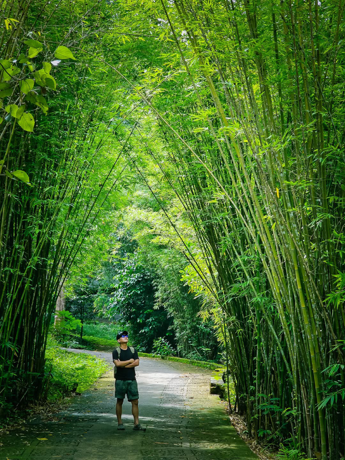 Khu sinh thái Madagui là tổ hợp tự nhiên kỳ vĩ