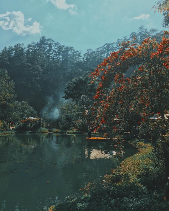 Ma Rừng Lữ Quán dành cho những ai trốn khỏi tiếng còi xe và sự vội vã