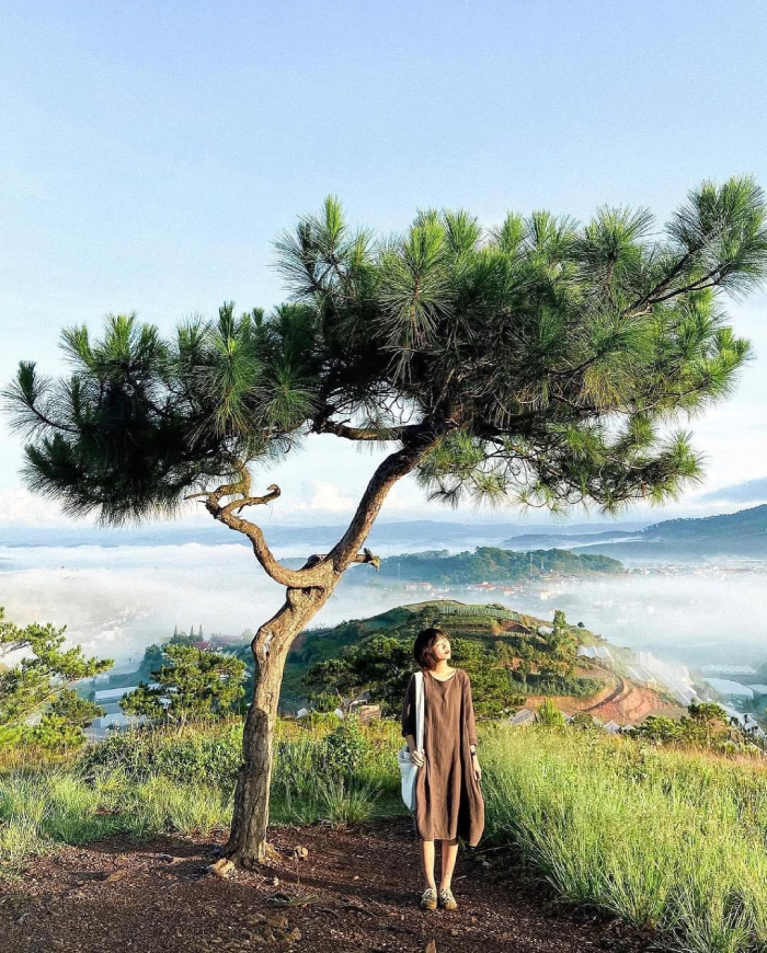 Không khí trong lành và không gian rung động