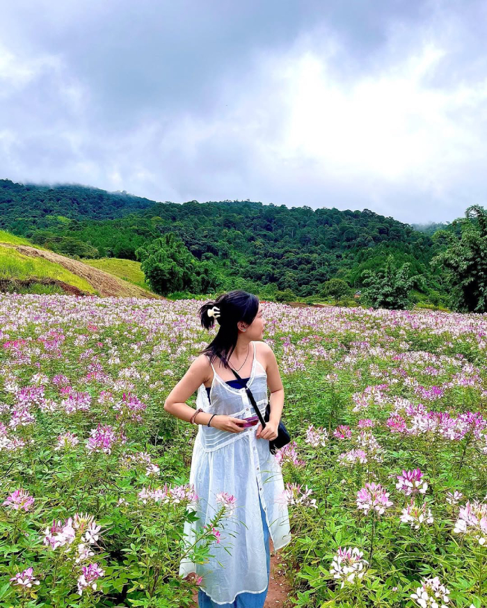 Vẻ đẹp thơ mộng tại Tà Nung