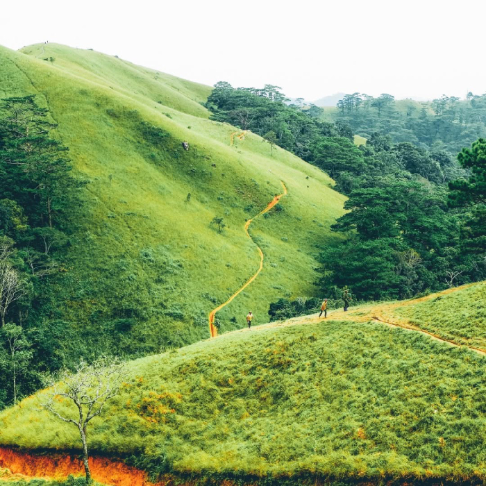 Cung đường trekking với màu xanh mát mắt