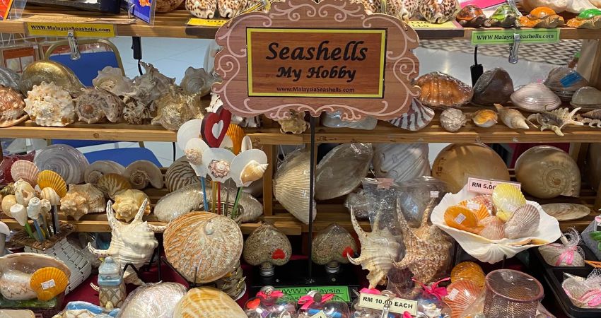 Các sản phẩm thủ công từ vỏ sò - cẩm nang du lịch Lumut Malaysia