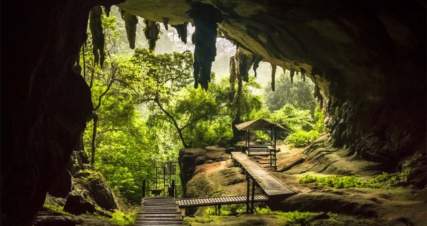 Công viên quốc gia Niah - cẩm nang du lịch Miri