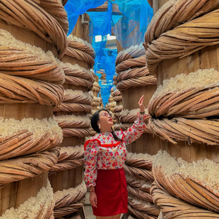 Nhà thùng nước mắm là điểm du lịch thú vị