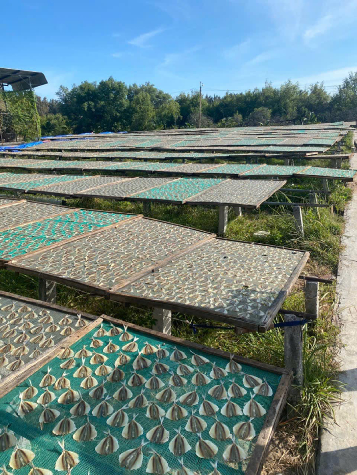 Bạn có thể tìm đến các làng chài để mua được hải sản khô giá tốt