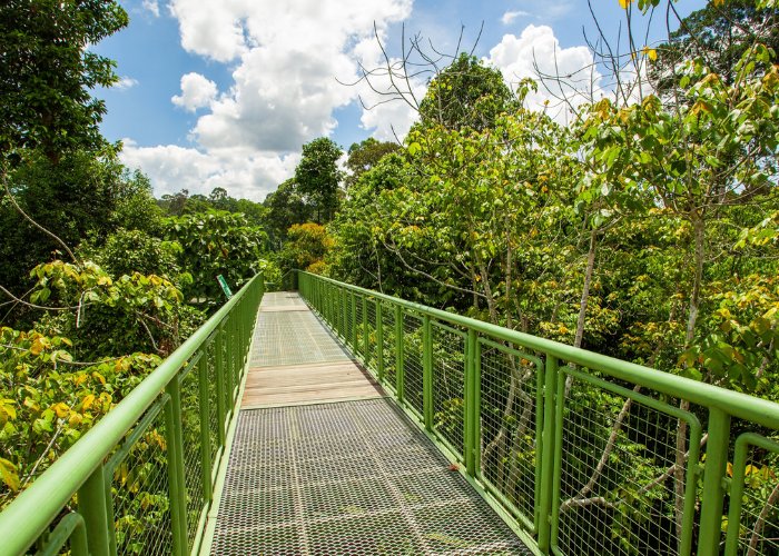 Theo cẩm nang du lịch Sandakan, du khách nên đến từ khoảng tháng 4 đến 10