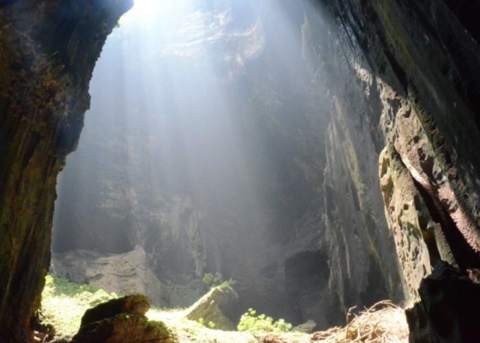 Hang động Gomantong