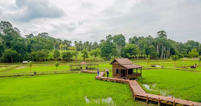 Vườn Bách thảo Quốc gia Taman Botani Negara - cẩm nang du lịch Shah Alam Malaysia